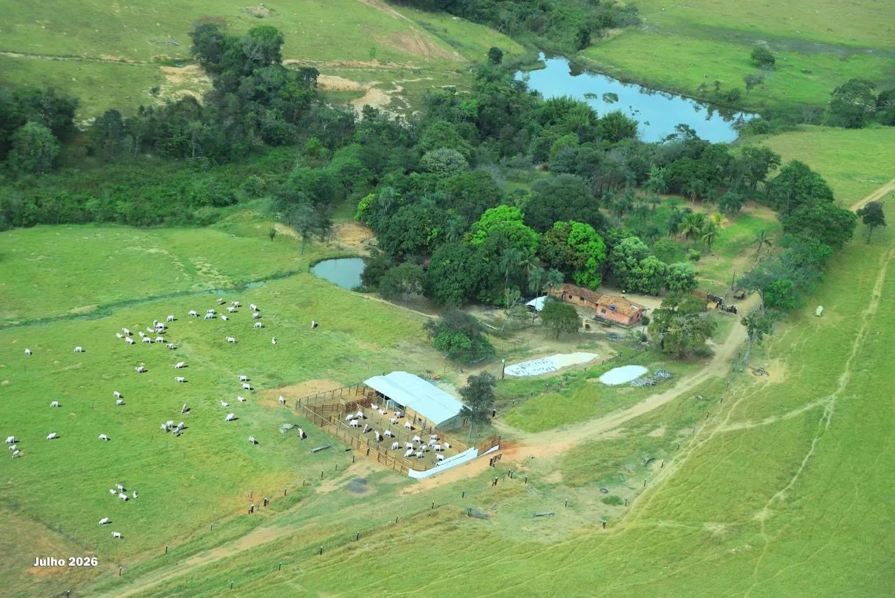 Fazenda de 21 alq em São Francisco-Go 