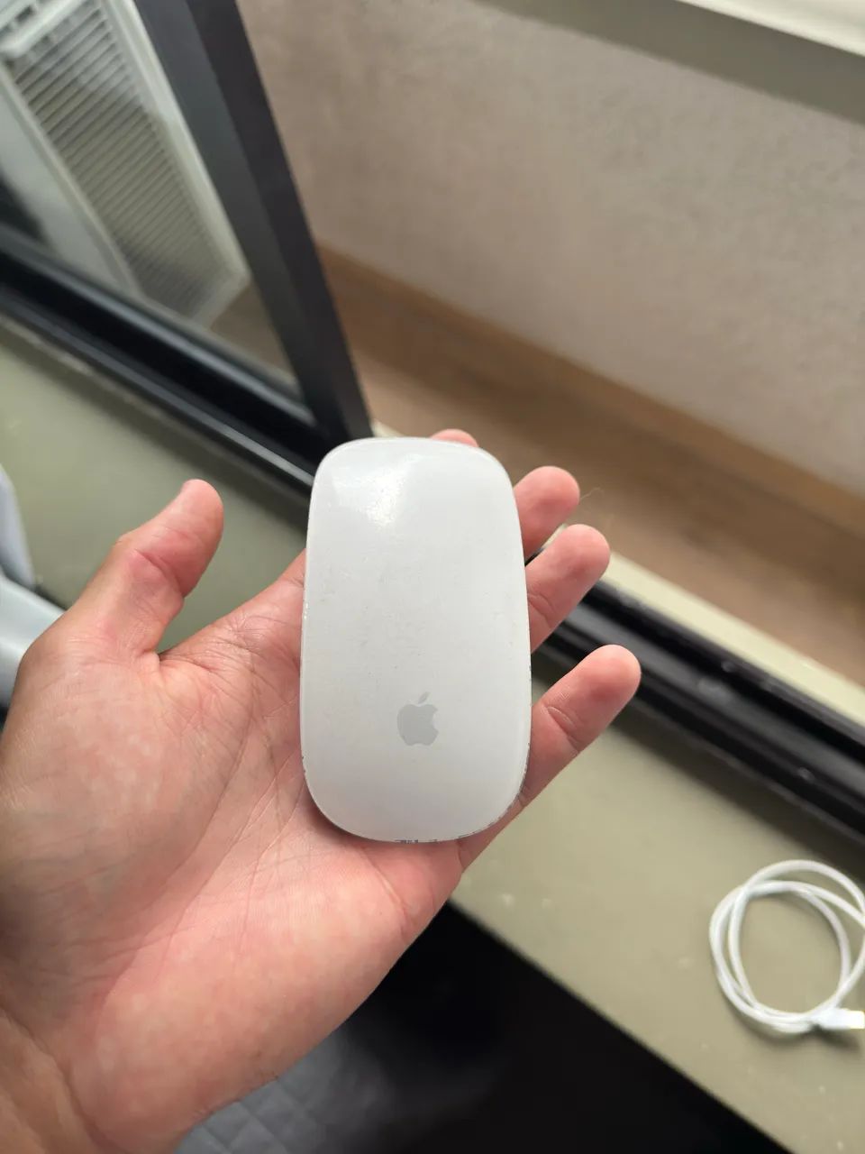 Apple Magic Mouse 2 + Cabo - Foto 2