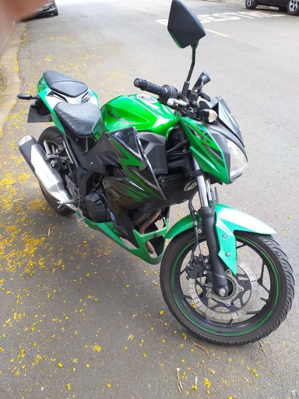 Kawasaki 300 2016 - 1520998437 | OLX