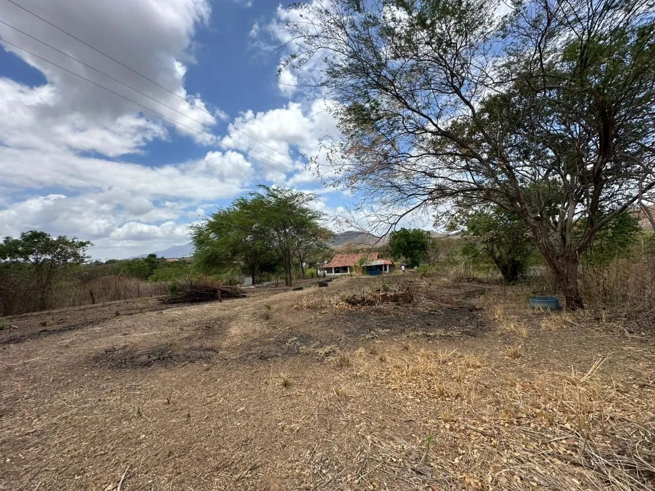 Fazenda  El Shadday ( São Luiz)