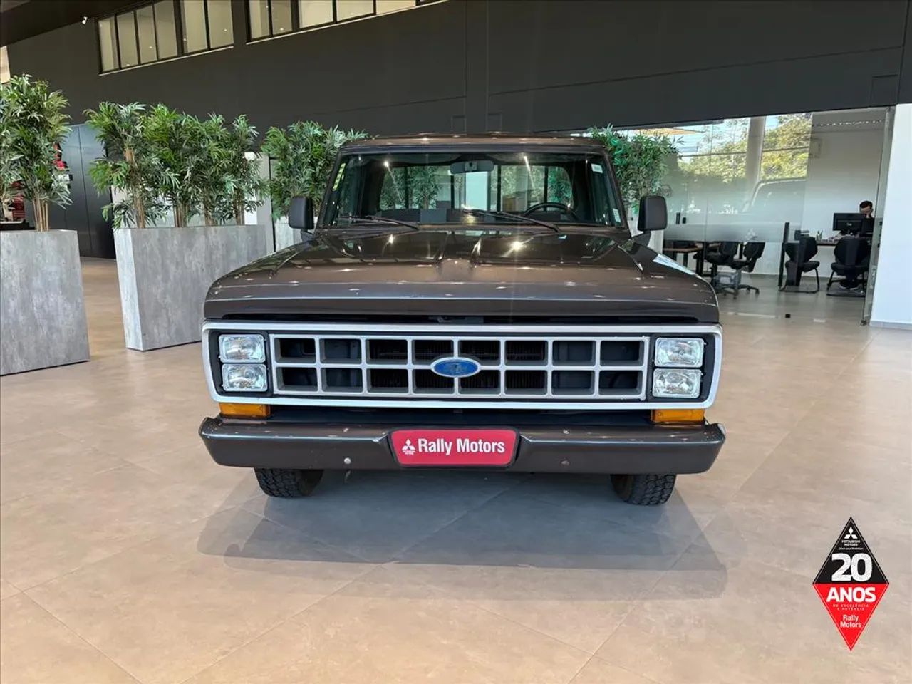 Ford F-1000 1990