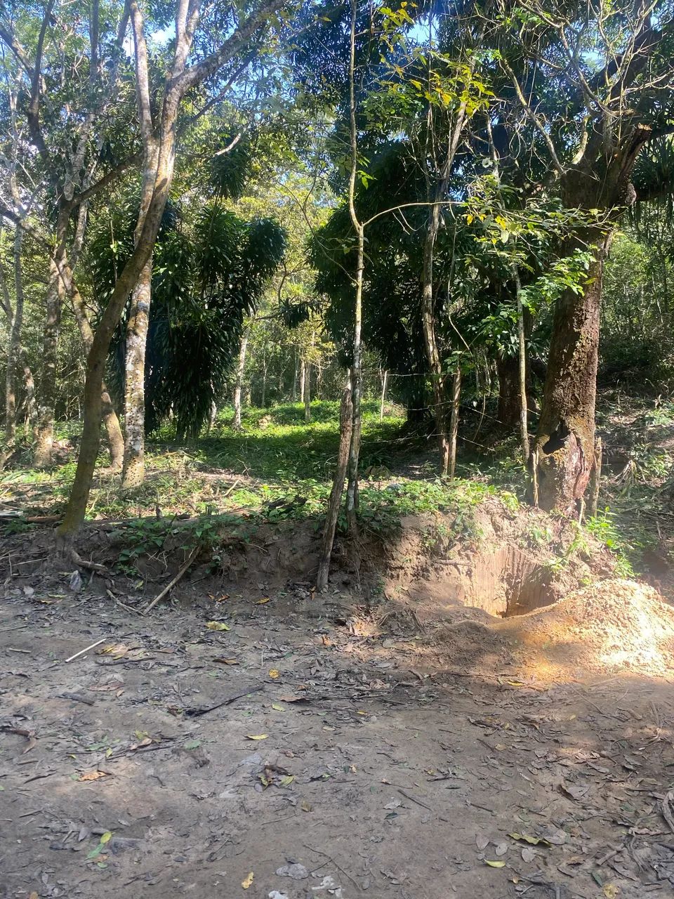 Oportunidade em mulungu - Foto 4
