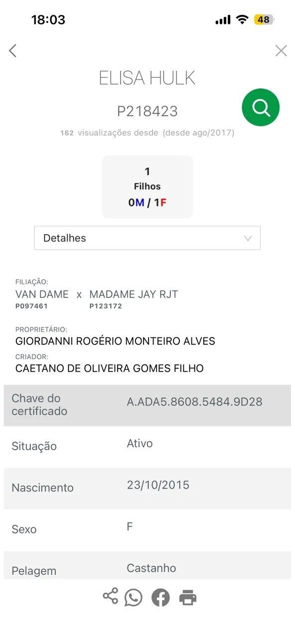 Égua de Direita - Foto 6