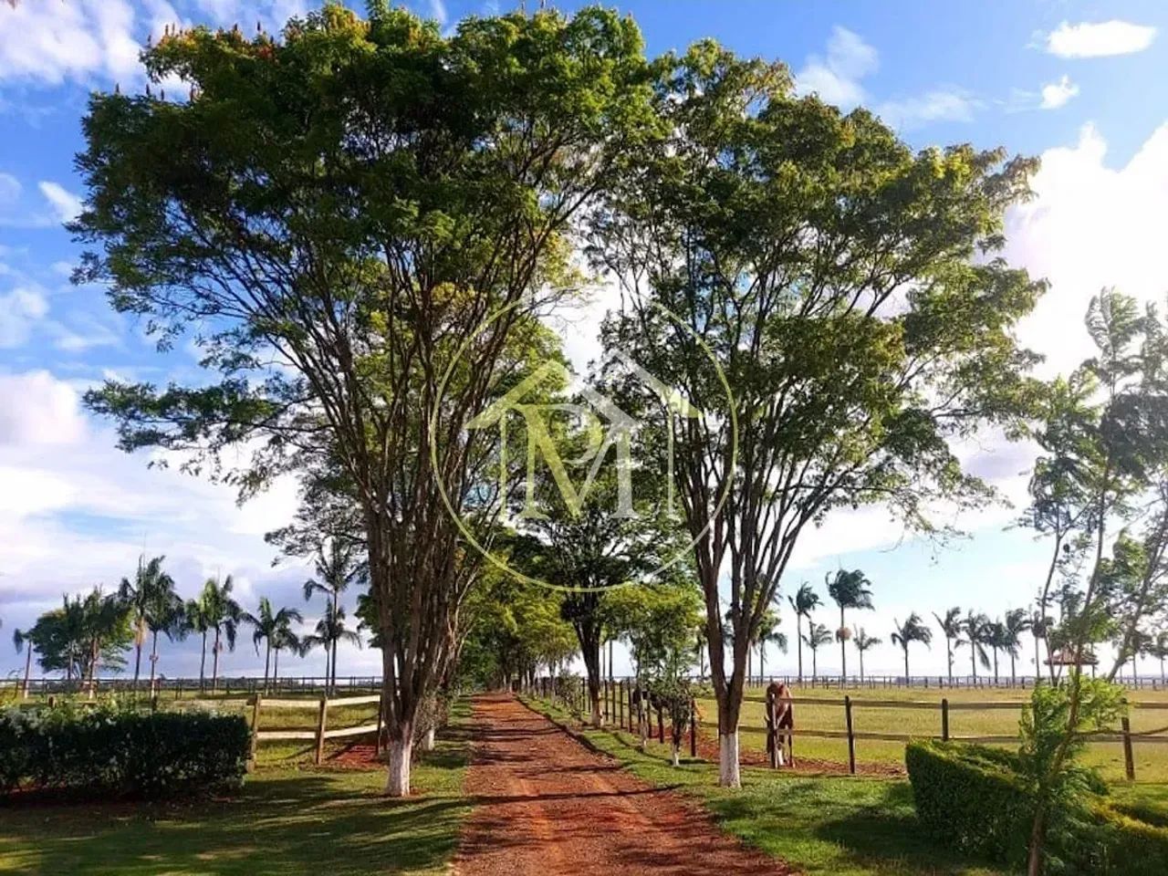 Haras à venda, , - HA0003. - Foto 4