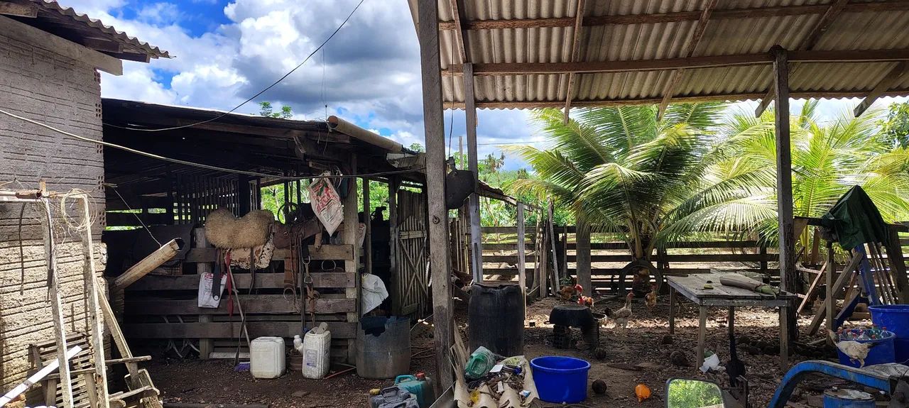 Fazenda em Rorainópolis  - Foto 5