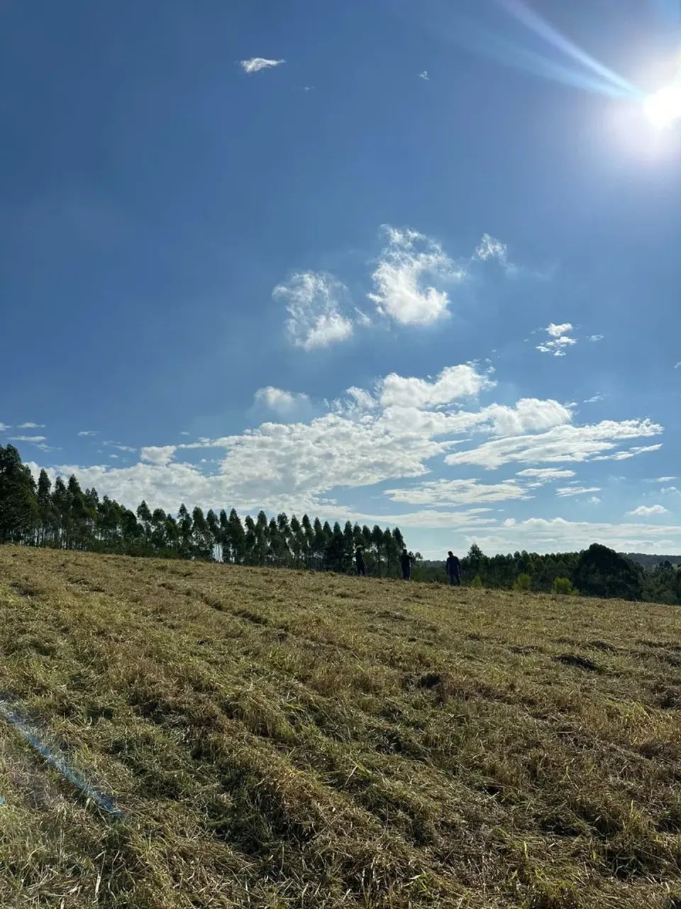 1.000m² em Mairinque | Condomínio Fechado Cercado pela Natureza - Foto 5