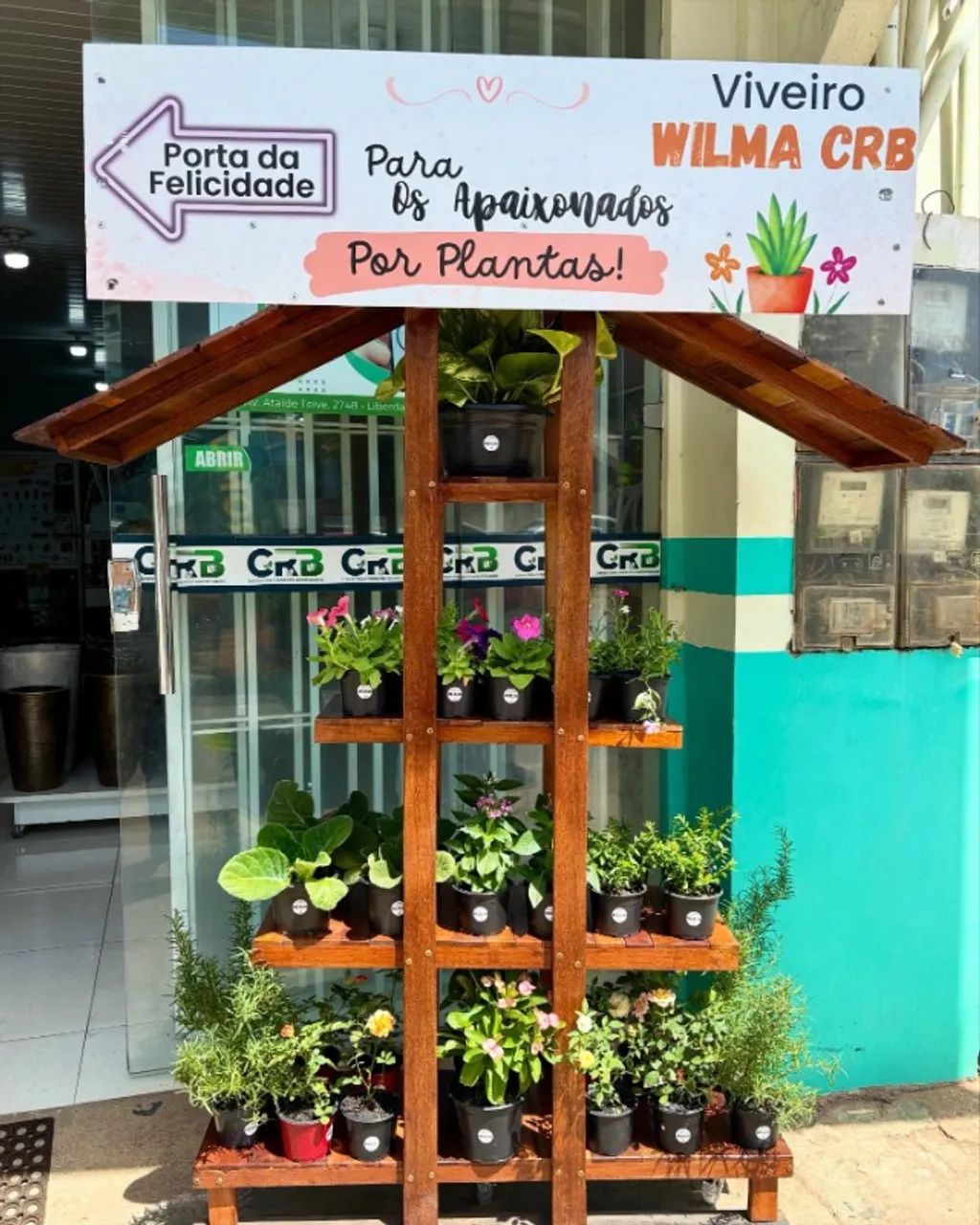 Roseiras - Viveiro Wilma CRB - Foto 3