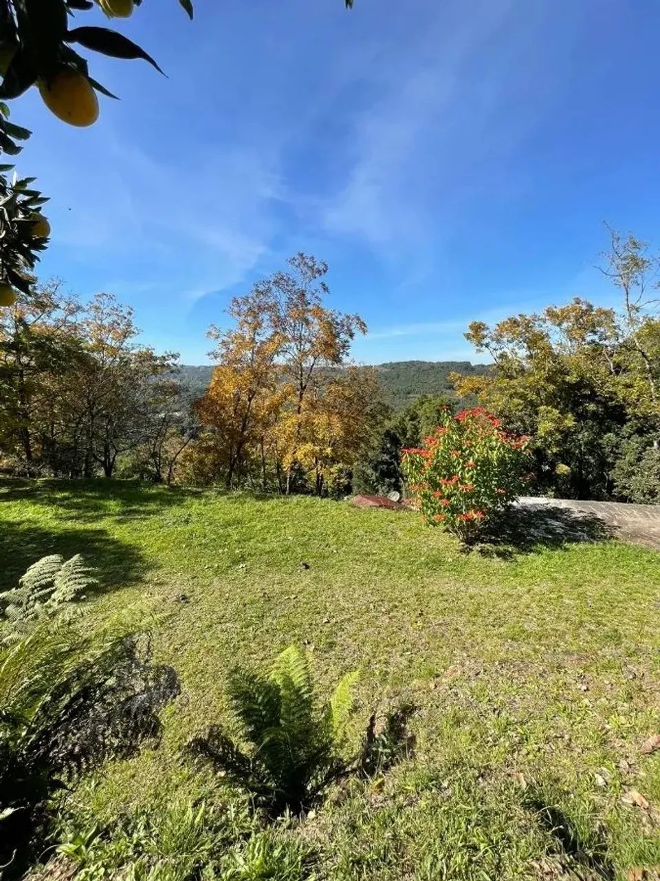 CAXIAS DO SUL - Terreno Padrão - LINHA 40 - Foto 4