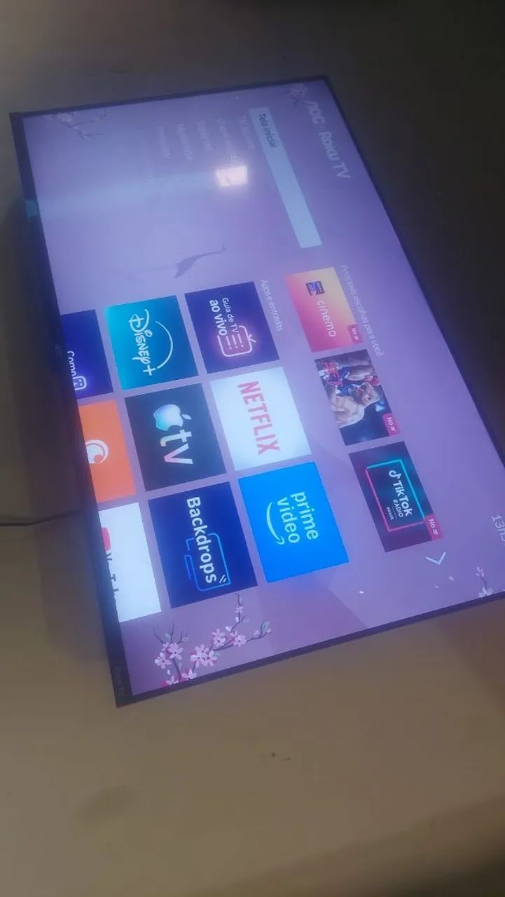 TV Smart 43 polegadas roku com 3 mês de garantia da loja ainda 