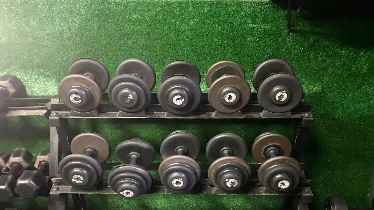 Jpgo de Dumbel de 12 a 20 kg