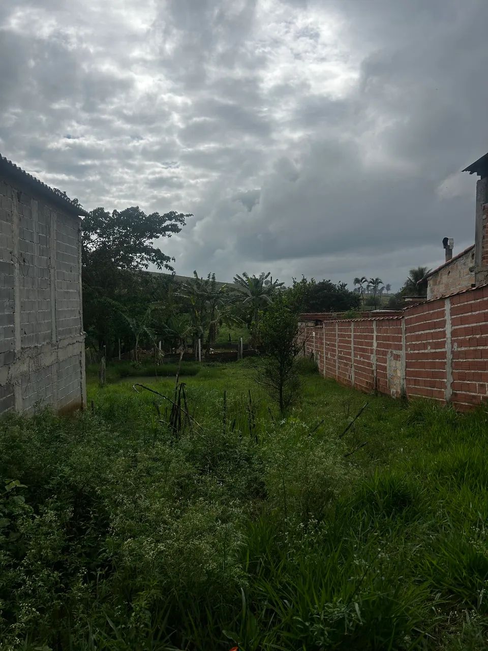 Terreno 7 x48 - Foto 4