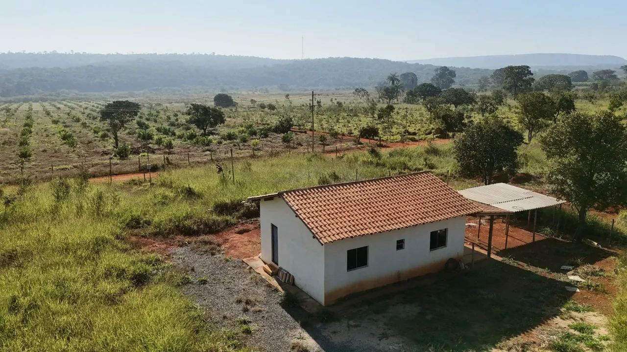 Terreno 30000 metros com casa - Foto 3