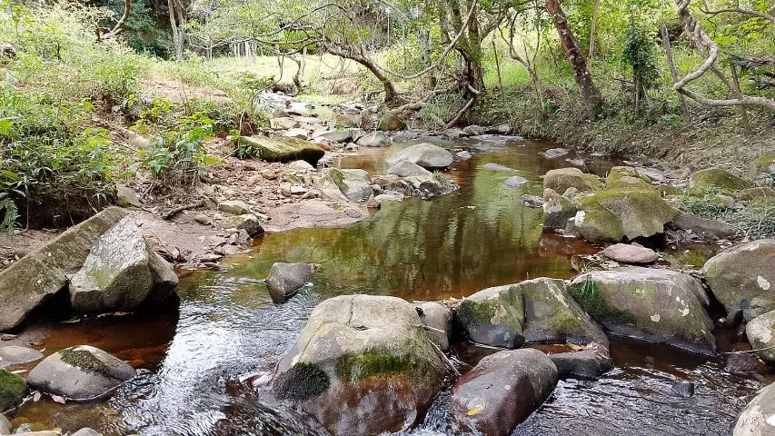 Sítio 7 hectares com cachoeira e nascente, casa e bananal a 82 km de BH