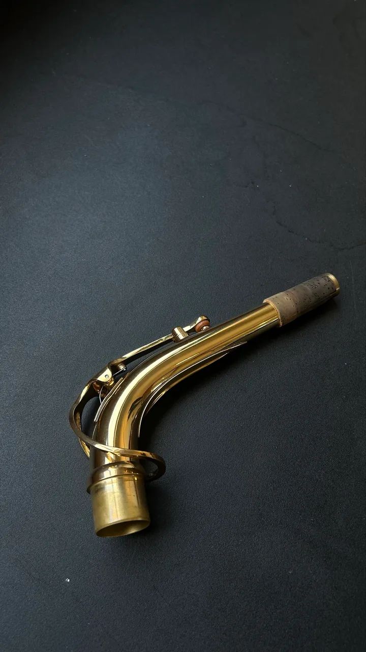 Saxofone Alto Profissional Vogga + Alça de pescoço  - Foto 4