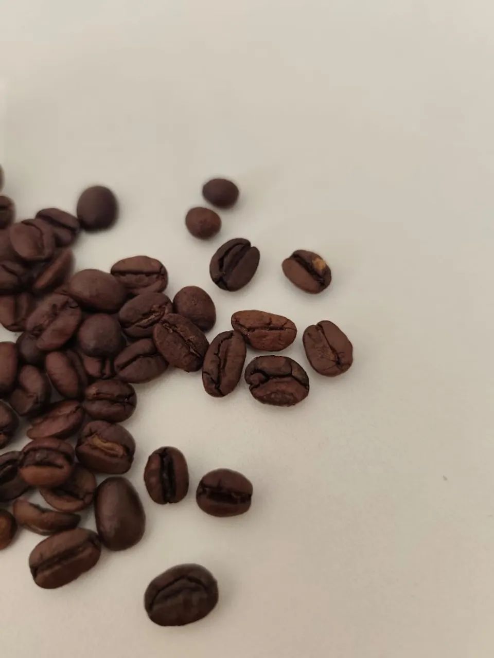 café em Grãos - Foto 2