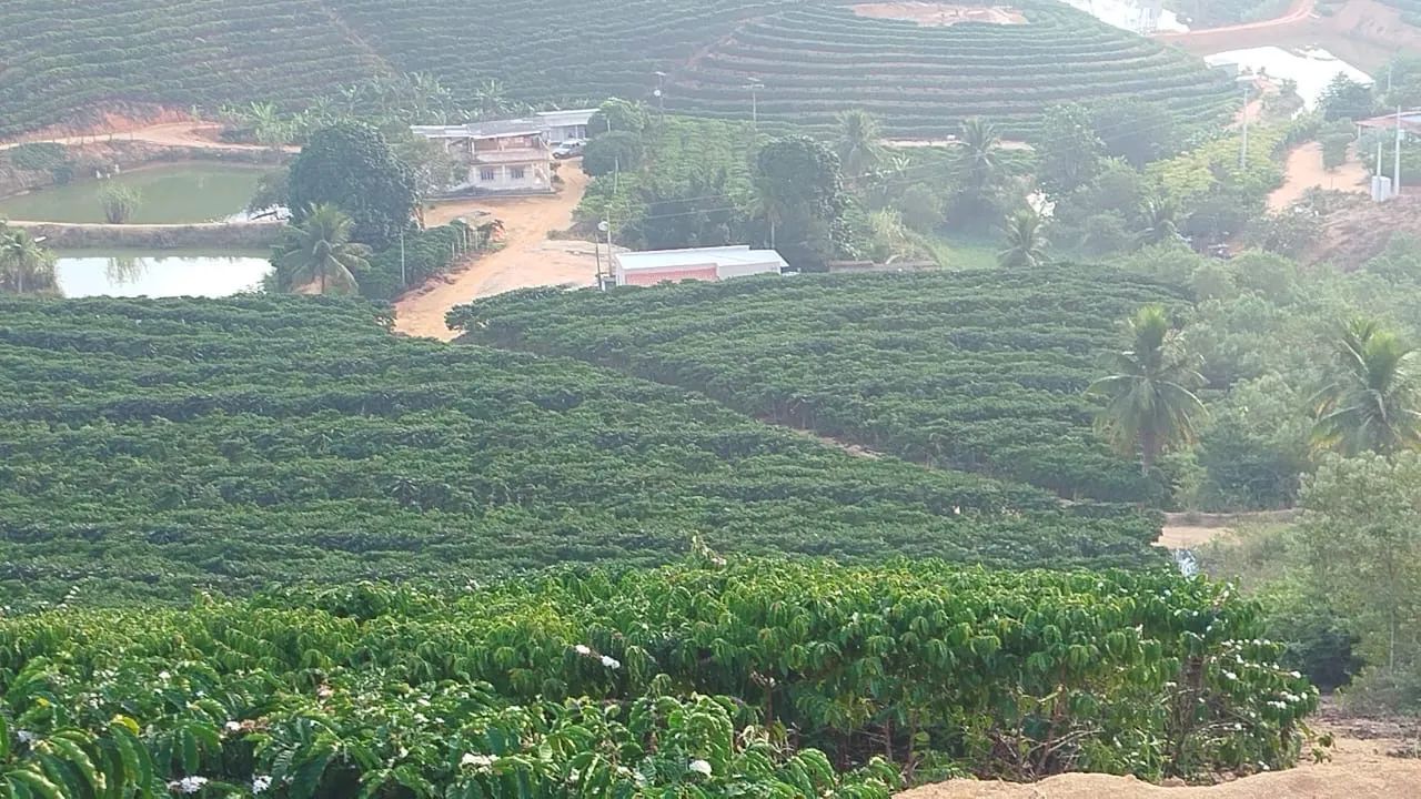 Terreno em Governador Lindenberg  - Foto 5