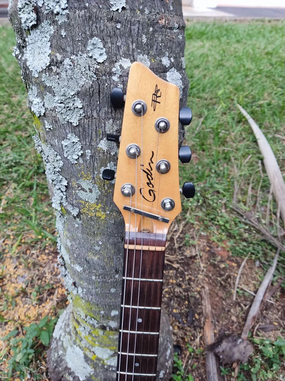 Guitarra godin Radiator (canadense) - Instrumentos musicais - Asa