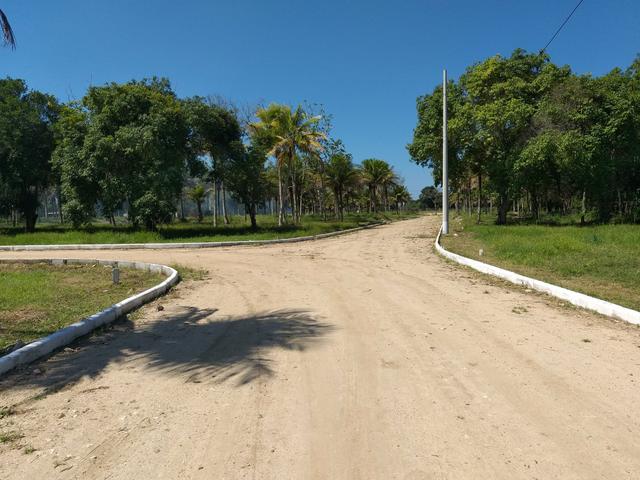 Cód 35 Lotes na Planta!!! - Foto 2