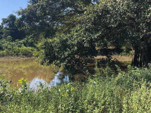 Chacara em Sto Antonio Leverger 110metros de Beira de Rio C/Tanque de Peixes Arvores Fruti - Foto 20