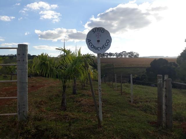 Excelente sítio de 8,64 hectare em Ponto Chic (Patos de Minas/MG) - Foto 11