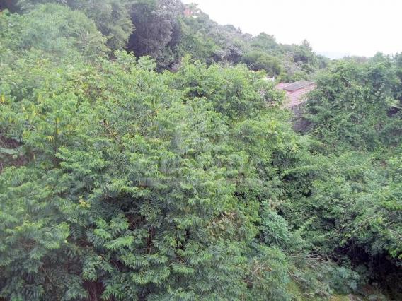 Casa de condomínio à venda com 2 dormitórios em Nonoai, Porto alegre cod:151060 - Foto 9