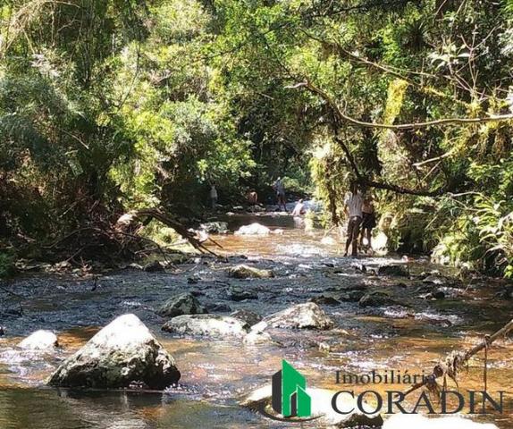 Terreno em São Jose dos Pinhais - Foto 4