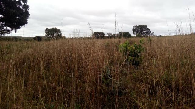 Sitio na Região de Jangada - Foto 7