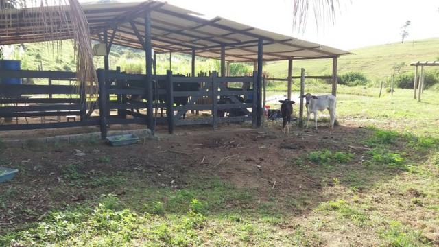 Mini fazenda em Guarapari - Foto 4