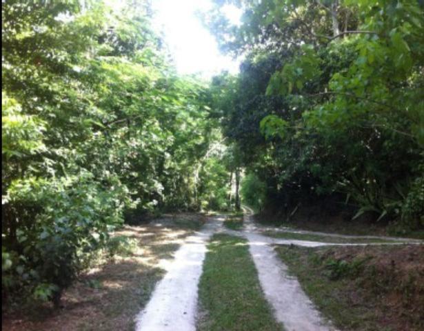 Bon: 1808 Palmital / Saquarema - Foto 6