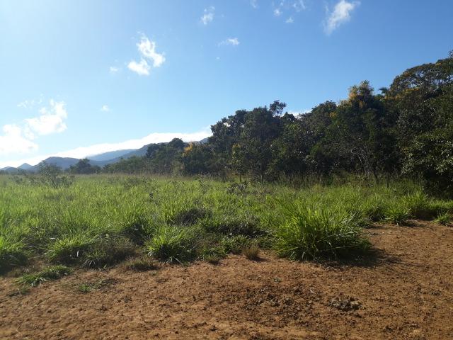 Fazenda 785 hectares ha 65 km de Jangada - Foto 13