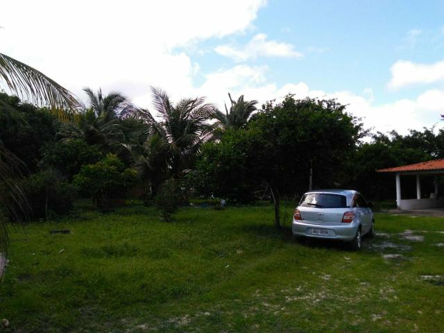 Sitio ótimo para morar e produzir ! - Foto 16