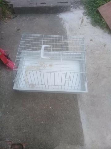 Gaiola - Foto 3