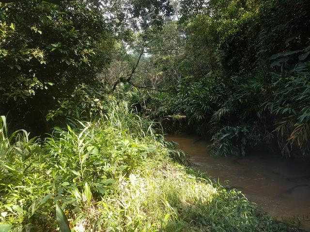 Terreno - Foto 2