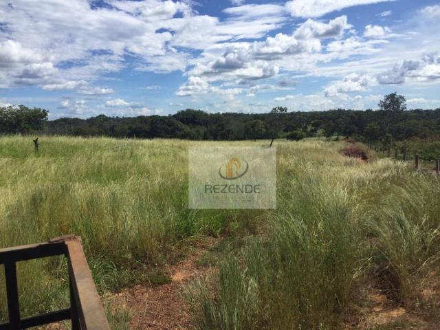 Fazenda com - 88 alqueires - R$ 3.000.000 - Miracema do TO. - Foto 7