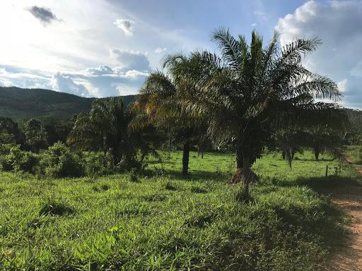 Sítio 26 hectares região da serra são vicente - Foto 4