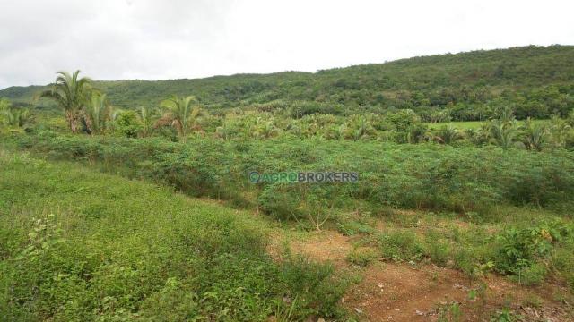 Sítio 19,5 ha em serra de são vicente - Foto 6