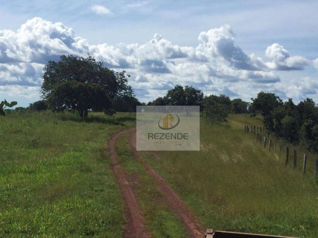 Fazenda com - 88 alqueires - R$ 3.000.000 - Miracema do TO. - Foto 19