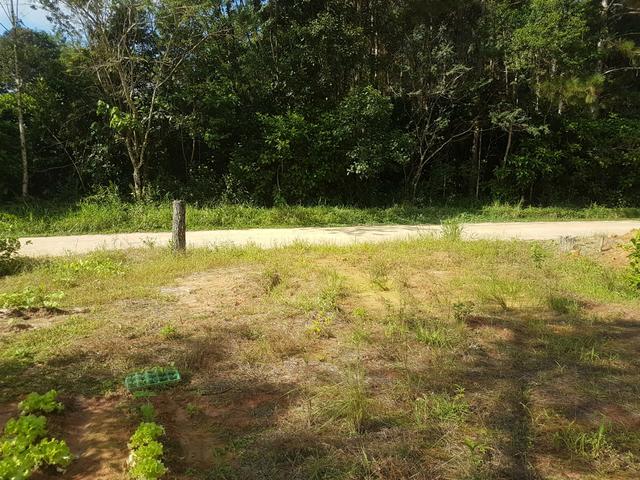 Terreno - Foto 5