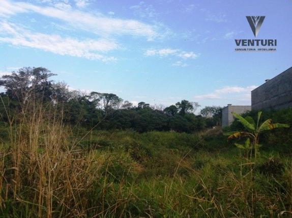 Terreno à venda em Salto do norte, Blumenau cod:4310 - Foto 9