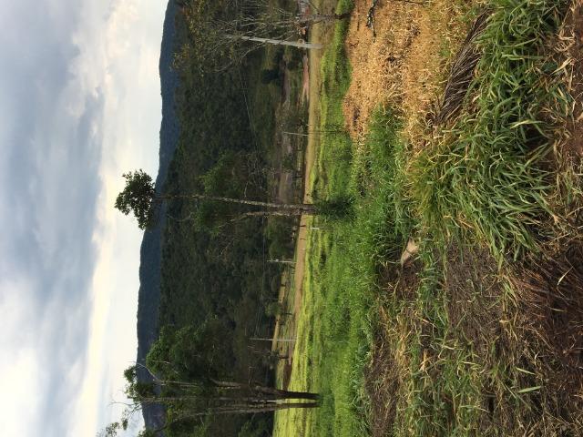 GE Conheça nosso lindo condomínio em Mairiporã 1000m2 - Foto 14