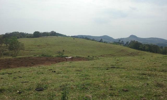 Terreno - Foto 7