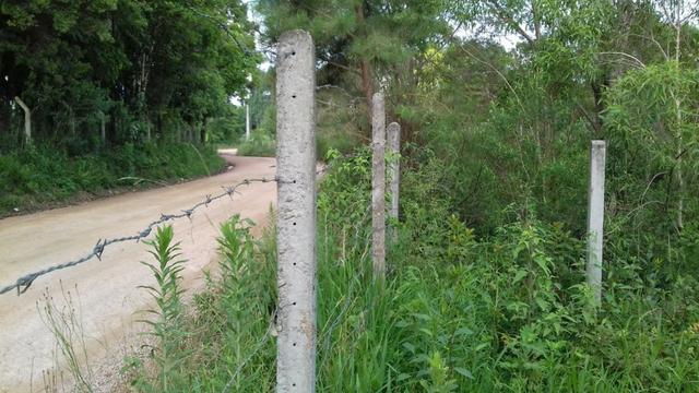Chácara em Campestre da Faxina -São José dos Pinhais-R$190.000,00 - Foto 2