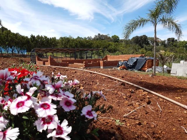 Excelente Chácara próximo a Flores da Cunha - Foto 9