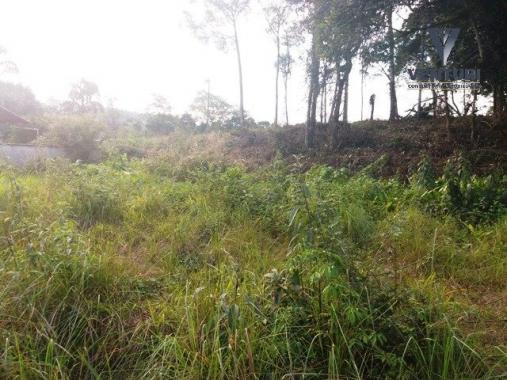 Terreno à venda em Salto do norte, Blumenau cod:4310 - Foto 4