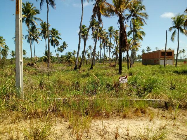 Terreno em São José da Coroa grande - Foto 4