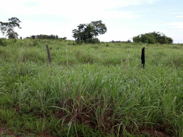 Fazenda - Foto 9