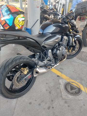 Hornet