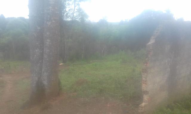 Permuta