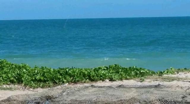 Imbatível terreno na praia de ponta de pedras!! - Foto 18