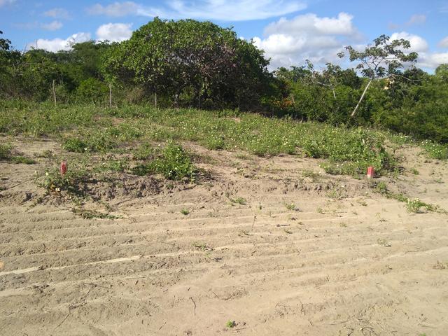 Imbatível terreno na praia de ponta de pedras!! - Foto 12